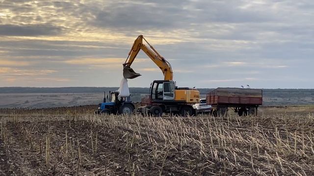 Прямой посев Быстрицей по подсолнуху. 2021 год. смотреть онлайн