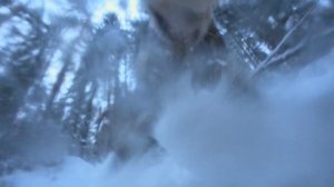 Пушистая банда против банды кабанов! | Охота от первог?