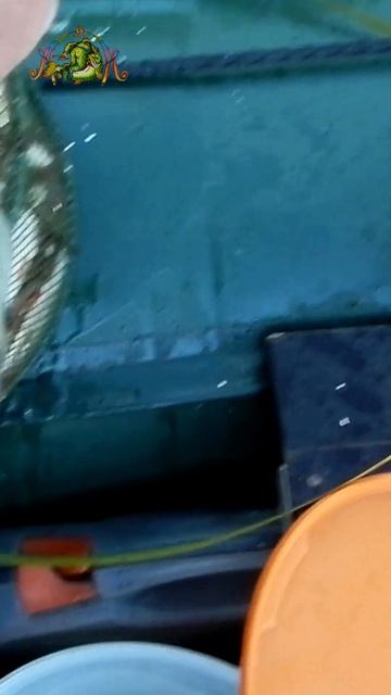 РЫБАЛКА на ПОПЛАВОКУЛОВ shortsрванёмнарыба?