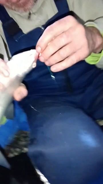 #казахстан #fishing #рыбалка #спиннинг #щука #карась #карп #?