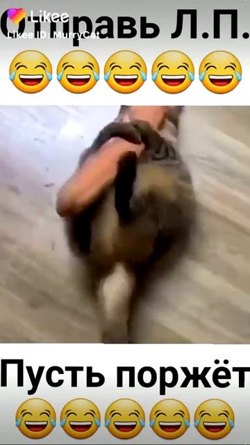 Сосиска смотреть онлайн