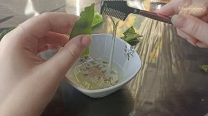 Как легко добыть сок из Алоэ вера! 🌿