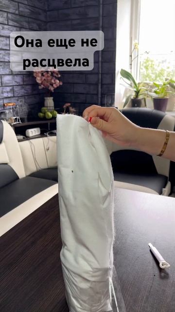 Распаковка новой орхидеи #rap #music #funny#орхидеи#распаковк смотреть онлайн