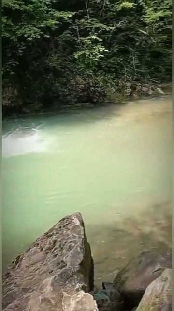 Река в п. Мезмай(Краснодарский край).Водные ресурсы Ро? смотреть онлайн