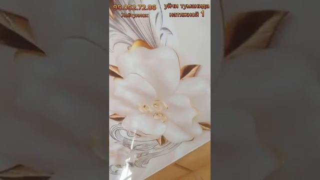 Уйчи туманида натяжной 3/1