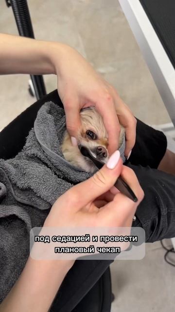 Болезнь может быть сюрпризом