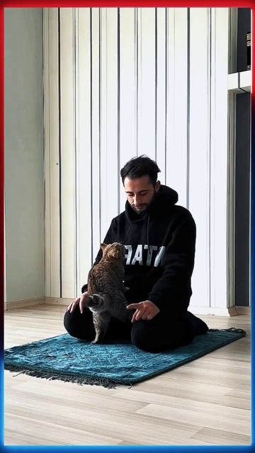 КОШКА во время НАМАЗА | Видео отзеркалено 🐾 смотреть онлайн