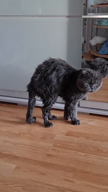 Мама шила мне штаны из берёзовый коры смотреть онлайн