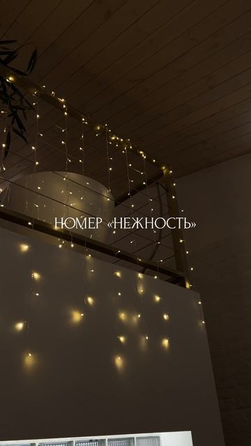 VID_20250513_235637_661