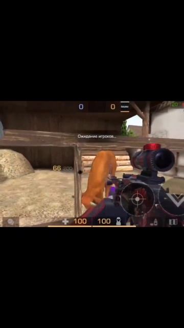 почему за это не банят🤣 #бан #корова #читы #стендофф2 #ю смотреть онлайн