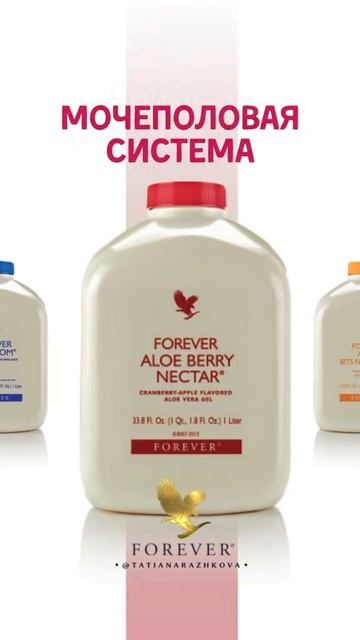 23 апреля 2025 г. смотреть онлайн