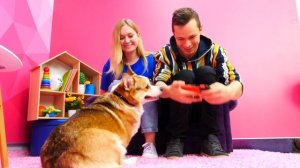 Корги балуется! Как играть с собакой? Веселые игры для детей с собакой Альфом