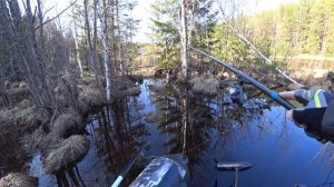 Лодочный электромотор Sharmax SE 22 L 50LBS. лодка Адмирал 335 .Т?