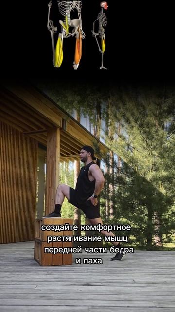 Растягивание мышц паха и передней части бедра из упор? смотреть онлайн