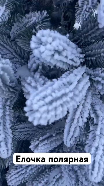 Успей забрать свою елку. Подари детям праздник смотреть онлайн