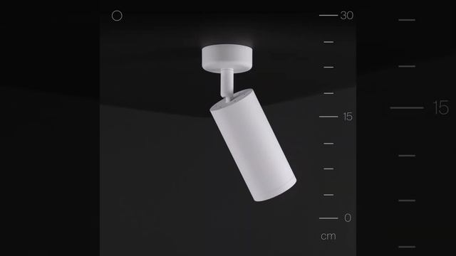 Светильник Maytoni C017CW-01W