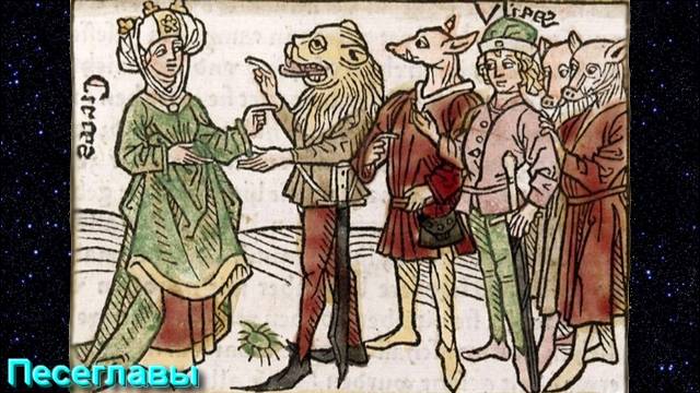 Ответы на Вопросы по Эзотерике от 14.05.25 смотреть онлайн