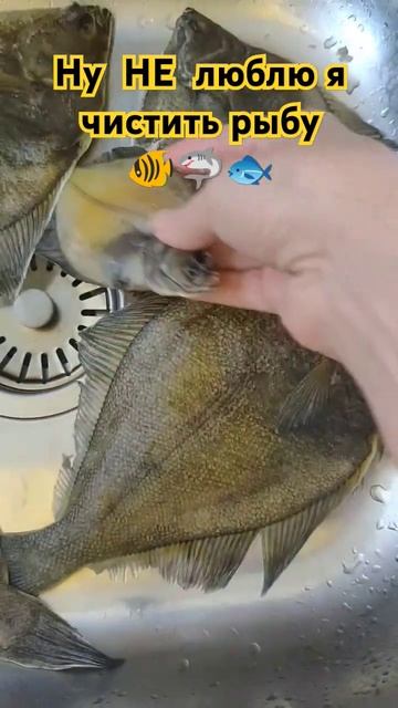 У кого так же🤣 #прикол #sorts #юмор #рыбалка #еда #ютуб #fishi