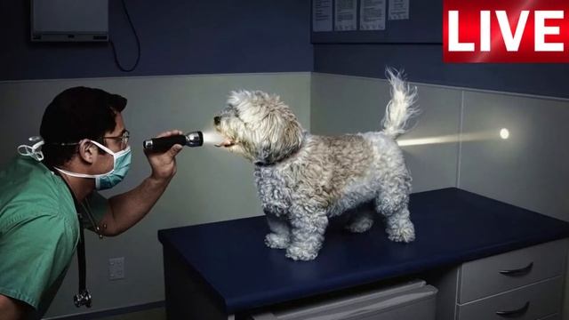 Прикольные фотки