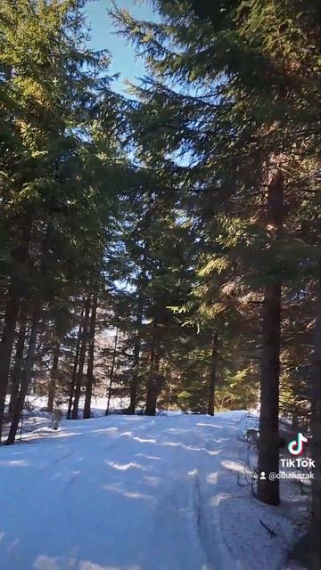 Я счастлива что могу быть видеть такую красоту. смотреть онлайн