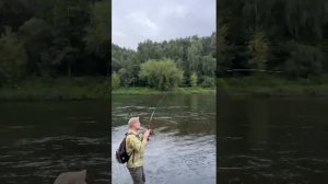 ASPEN STAKE от Crezy Fish в деле, Супер палка