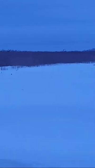 Зимняя рыбалка смотреть онлайн