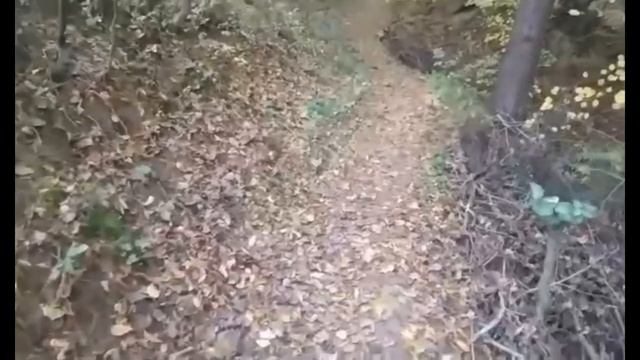 Отдохнули хорошо,есть что вспомнить смотреть онлайн