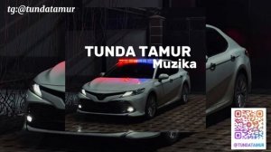 Два брата (Remix)