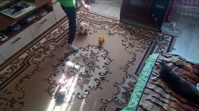 Футбол дома.  #футболвшколе