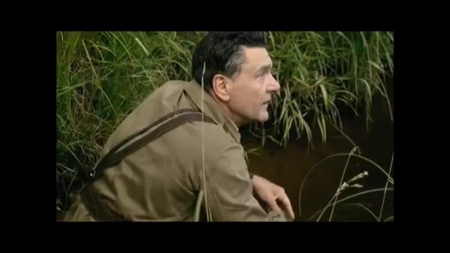 Виртуальная книжная выставка "В нем вся душа России" смотреть онлайн