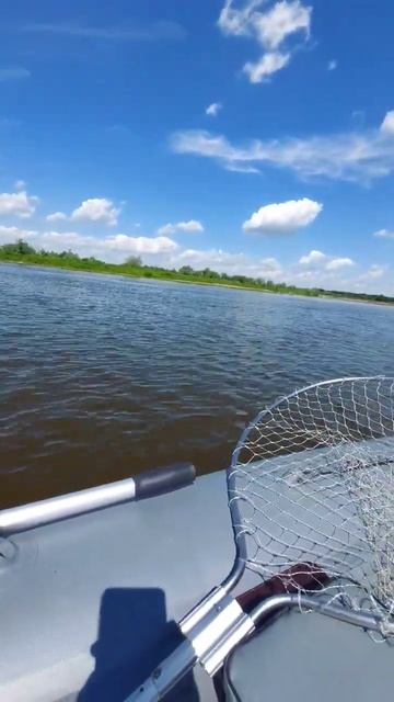 28 км/ч быстро? #top #fishing #рыбалка смотреть онлайн