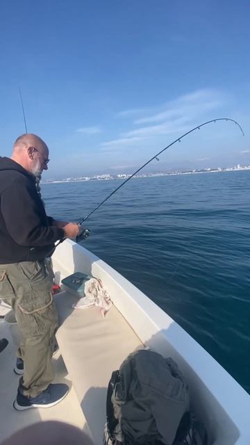 Рыбалка в Сочи. Мерланг. #рыбалка #fishing #fish #рыболовныйг? смотреть онлайн