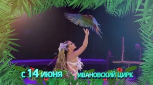 Дикая Планета в Иваново