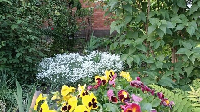 Динская.уулица Садовая, часть 2 и цветы цветочки. смотреть онлайн