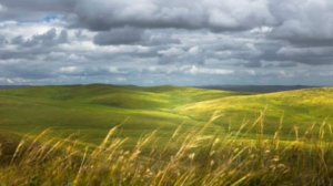 Ах ты степь широкая - Русская народная песня