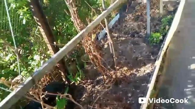 Стиралка работает ! смотреть онлайн