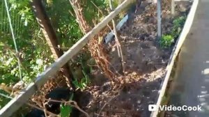 Стиралка работает !