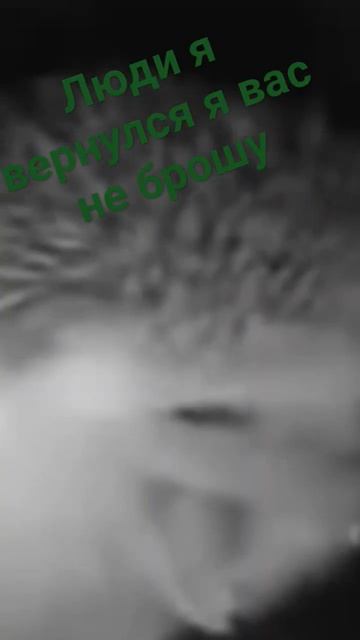 люди есть кто живой? смотреть онлайн