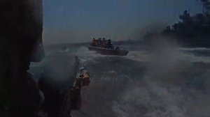 Армия России, Роды войск