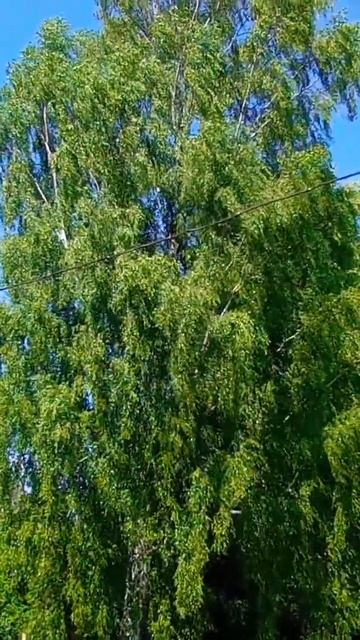 знай!Аллах велик и весь мир будет у твоих ног. смотреть онлайн