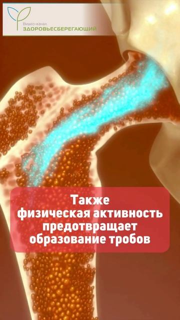 3 механизма природной очистки сосудов смотреть онлайн