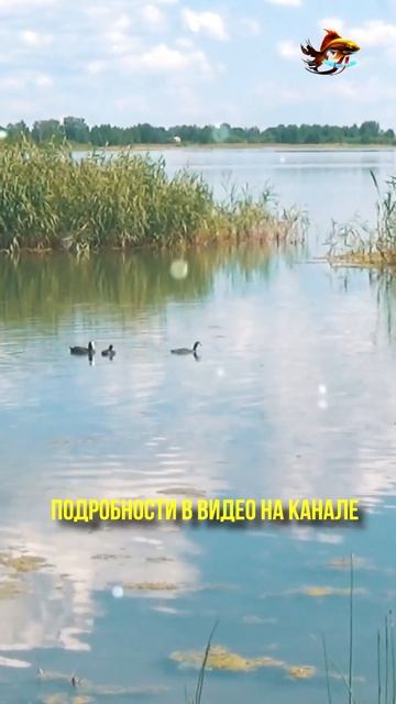 Рыбачьте но правила рыболовства не нарушайте Пять кил смотреть онлайн