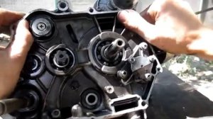 Ремонт коробки передач Viper Activ