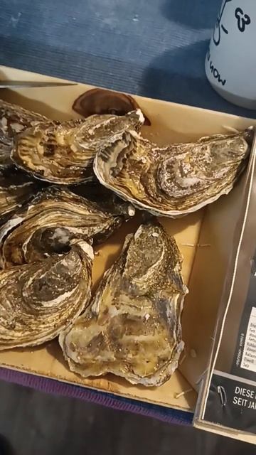 Устрицы за 8€ из Lidl'а. Есть можно 🤤 #я гурман #устрицы #? смотреть онлайн