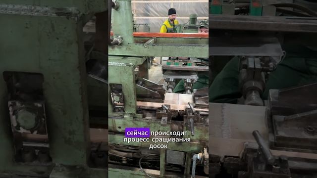Как делается клееный брус. Репортаж с производства.