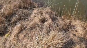 Рыбалка в Беларуси: Виталий Дальке разведует водоёмы для ловли сома