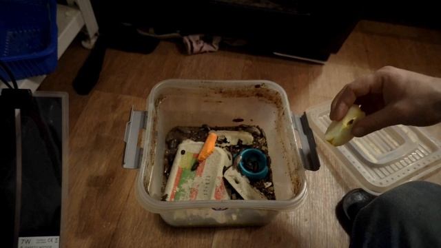 Мои экзотические животные дома смотреть онлайн