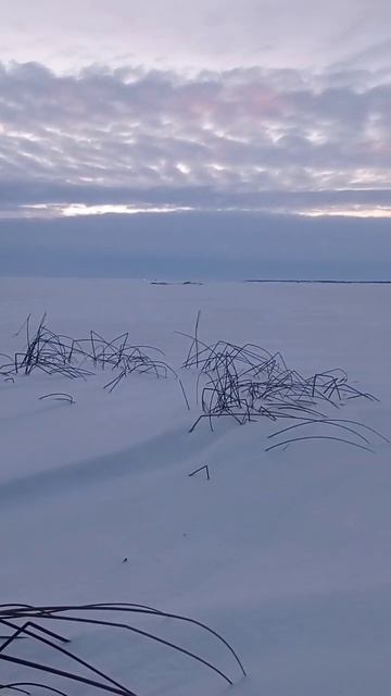Заснеженные просторы озера Ильмень смотреть онлайн