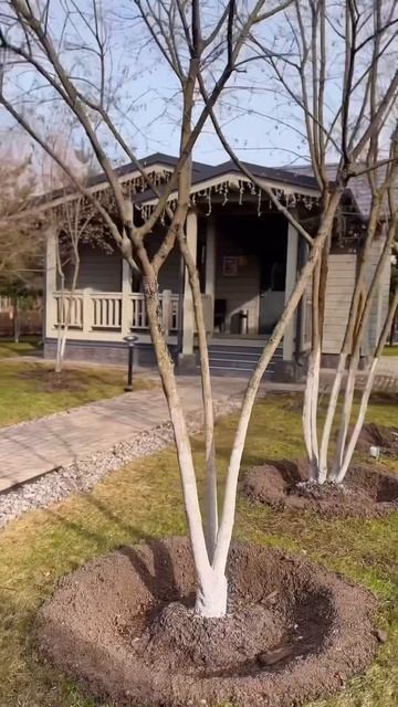 Атмосфера 😍 #новорижскаязастава #ресторанмосква #нов