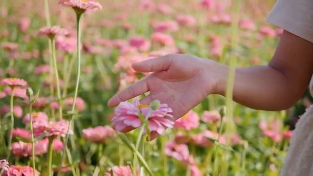 Осознанное Принятие | Медитация и практика | Любовь, д? смотреть онлайн